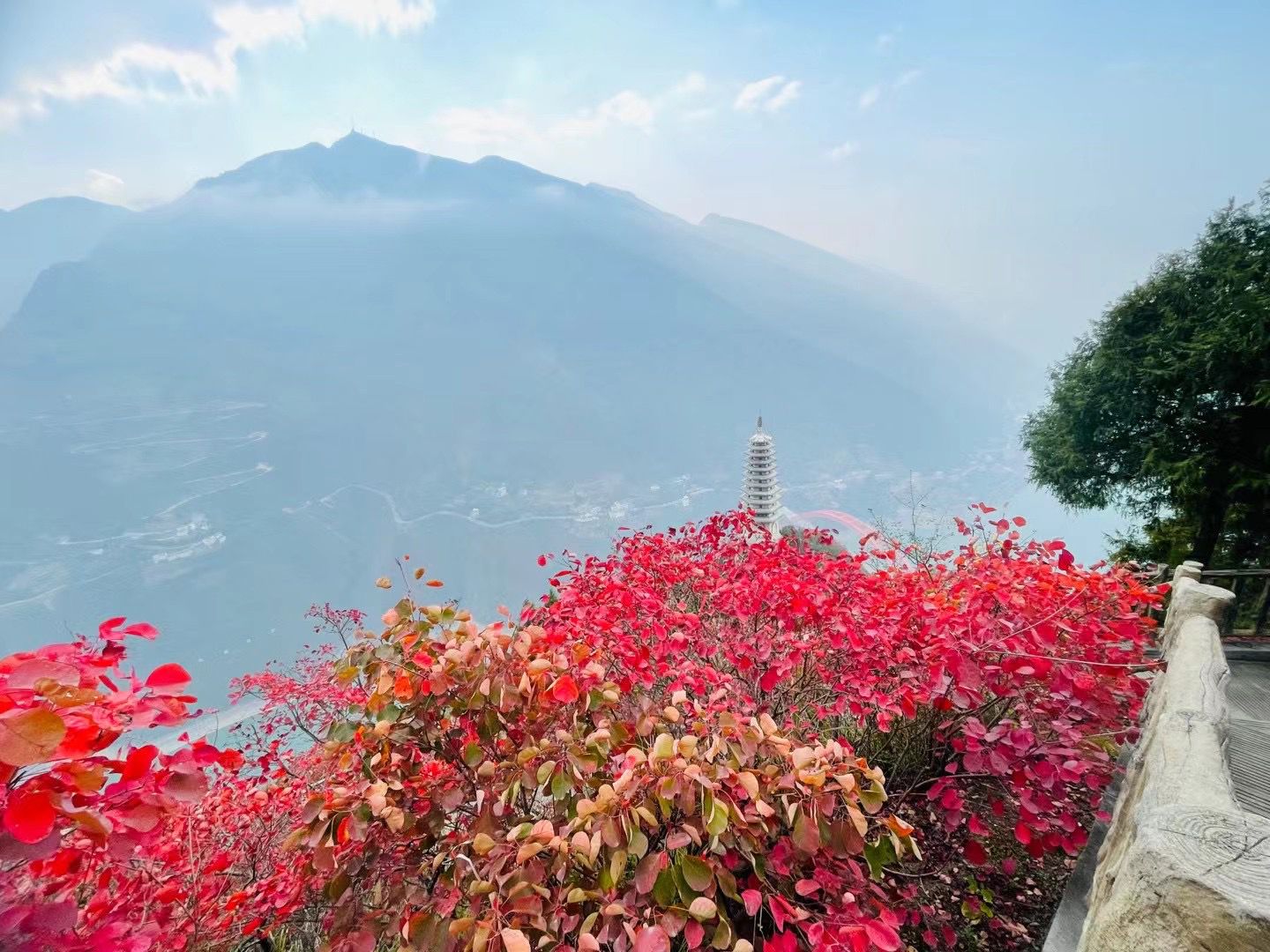 巫山红叶。 巫山县委宣传部供图