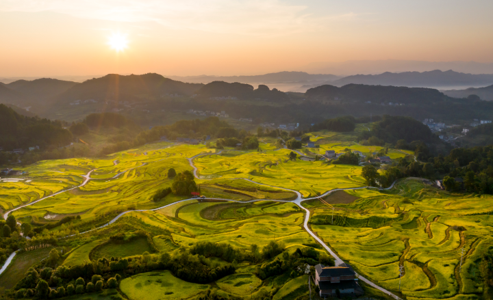 金秋时节，石滩镇高山梯田迎来丰收季。资料图