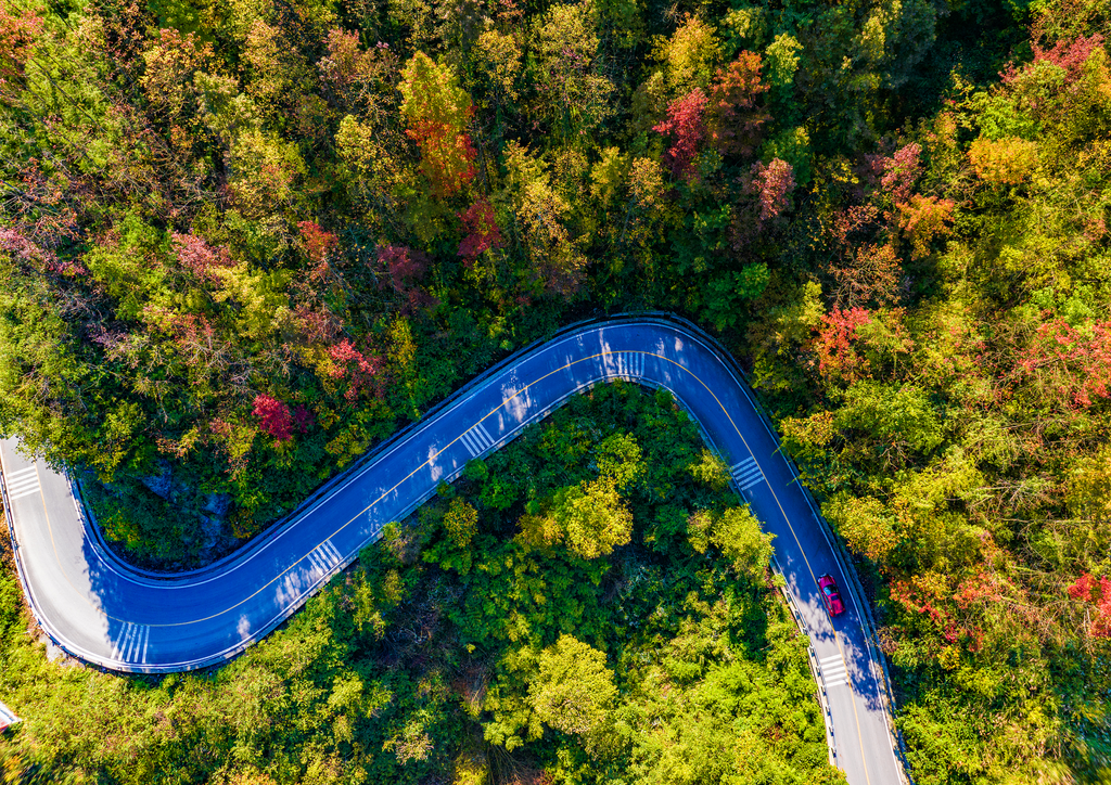 Cars winding through the vibrant forests of Delong Town (Photographed by Hu Bo) 