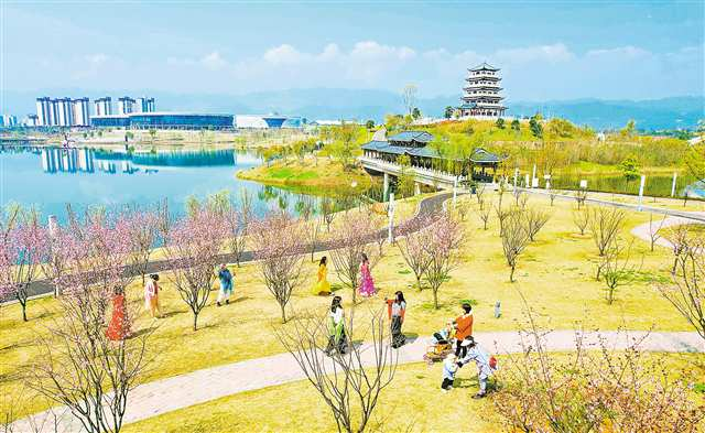 On March 14, the blooming cherry blossoms, the crystal clear water, and the blue sky form a beautiful picture in Sanhe Lake Wetland Park in Dianjiang County, attracting many visitors. (Photographed by Gong Changhao / Visual Chongqing)