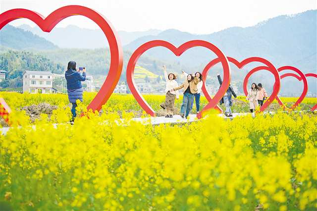 On March 13, visitors took pictures of the rapeseed flower fields in Huilong Town, Liangping District. (Photographed by Zheng Yu / Visual Chongqing)