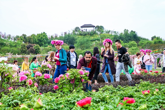 牡丹樱花世界游人如织。垫江县委宣传部供图