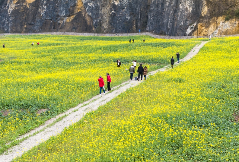 龙洲湾红炉废弃矿山修复后。巴南区规划和自然资源局供图