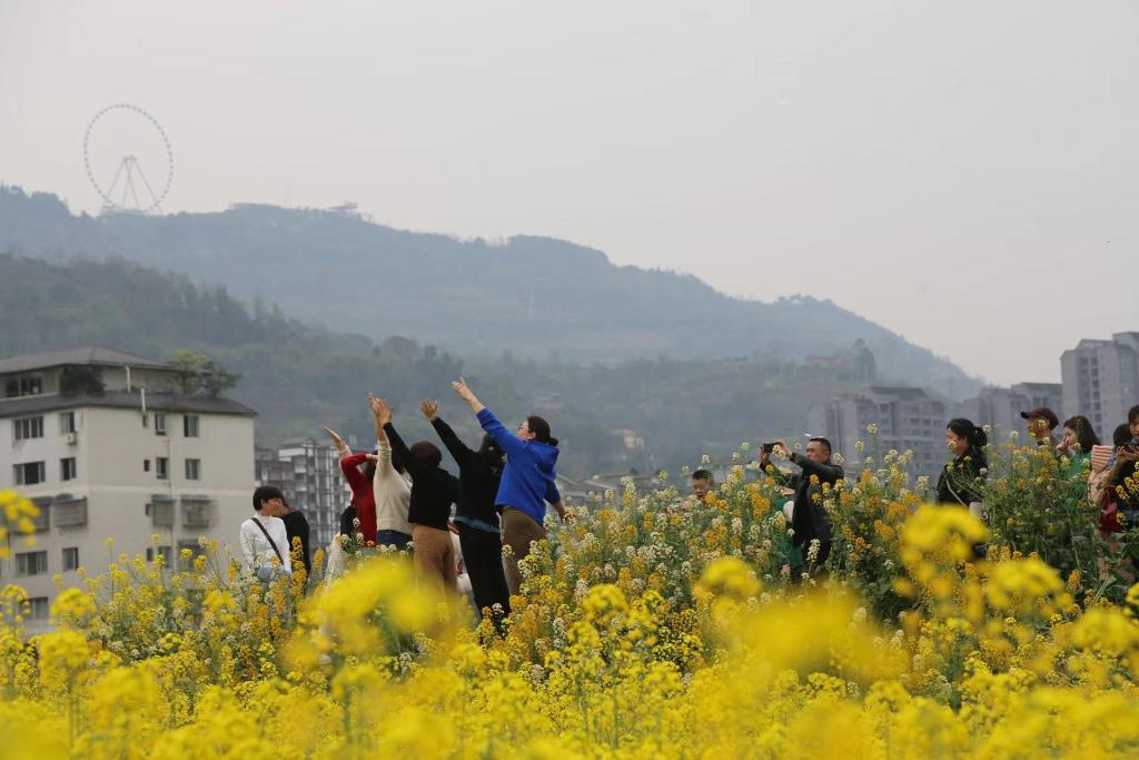 The popular "one-stop" rural tourism in Linshi, Fuling, Chongqing. (Photo provided by the interviewee)