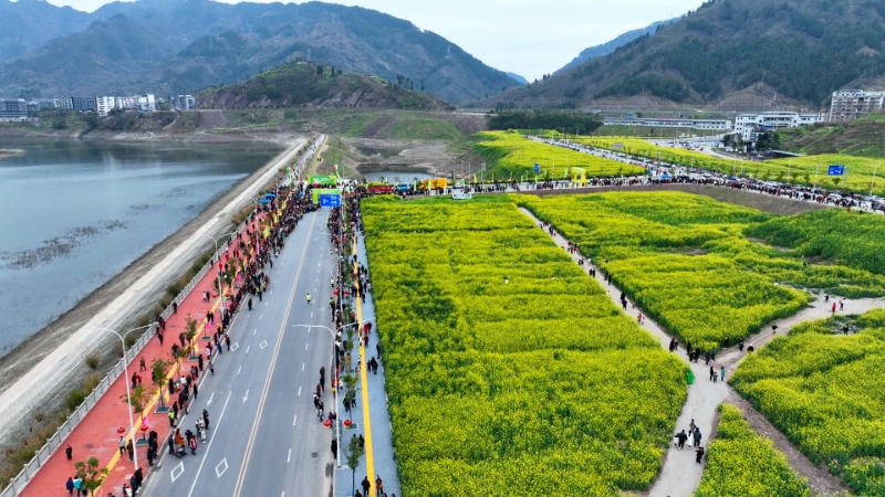 曾经的闲置地已变良田。云阳县规划和自然资源局供图