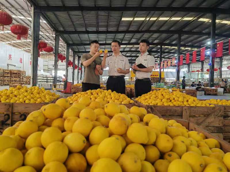 重庆海关关员助力本土柠檬扩大出口。受访者供图