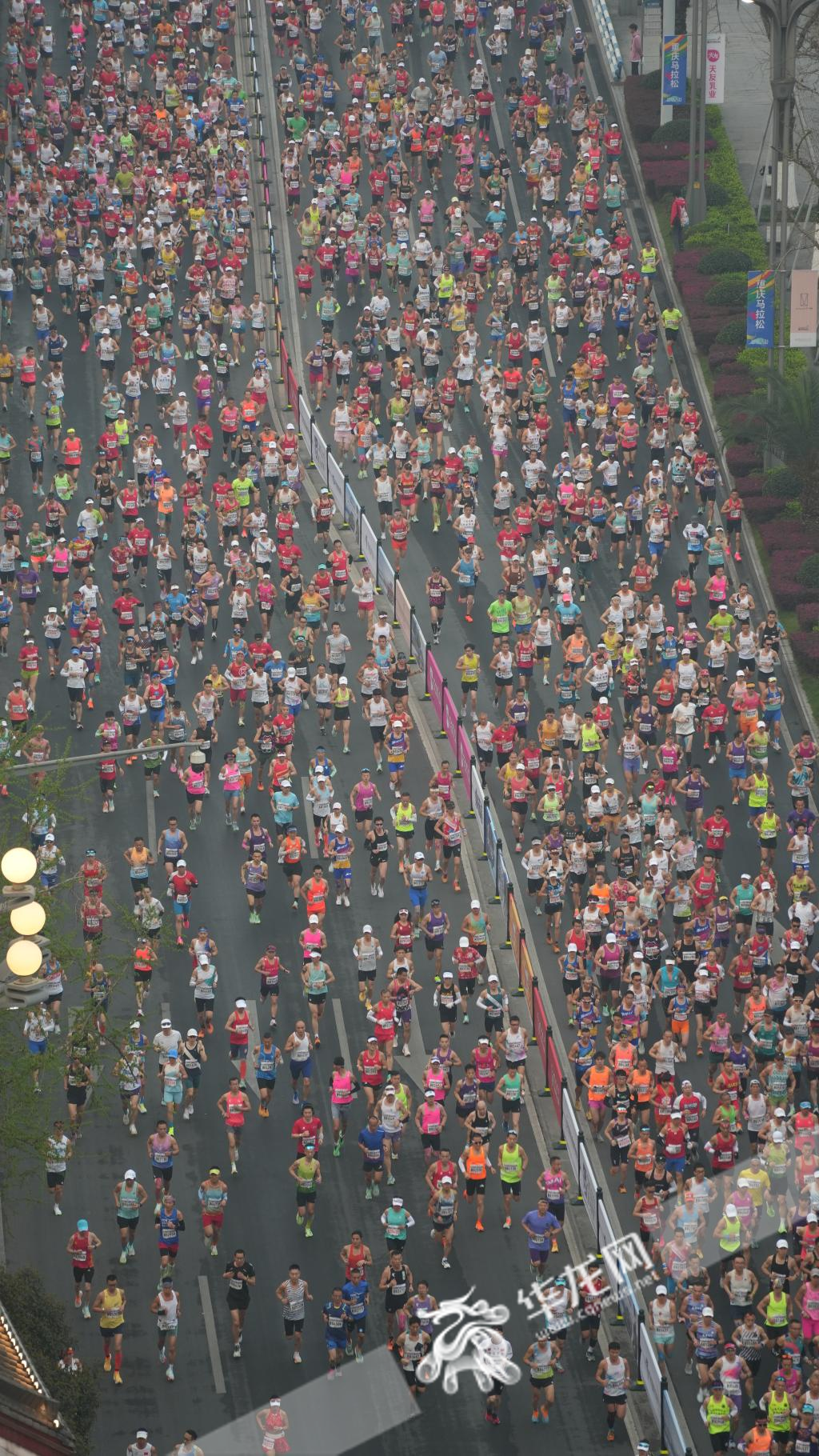 Chongqing Marathon 2024 started at Nanbin Road.