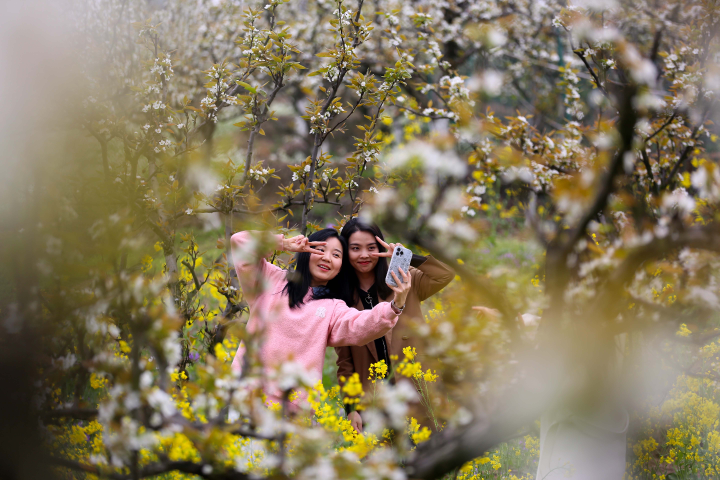 游客在花丛间拍照打卡。记者  彭怡  李攀  摄