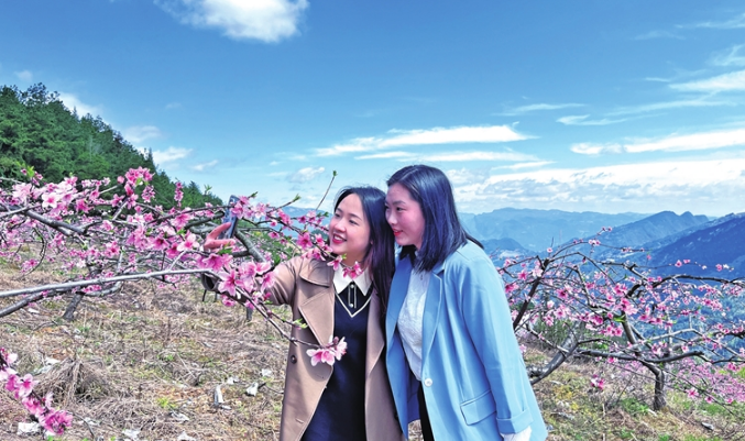 Tourists admiring the peach blossoms in the mountains (Photo provided by Converged Media Center of Wulong District)
