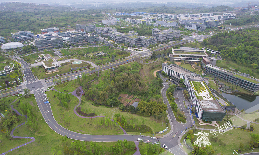 两江协同创新区正加速打造成为一个涵盖文化、高端楼宇和环湖公园等为一体的高品质繁华商业综合体。华龙网首席记者 李文科 摄 