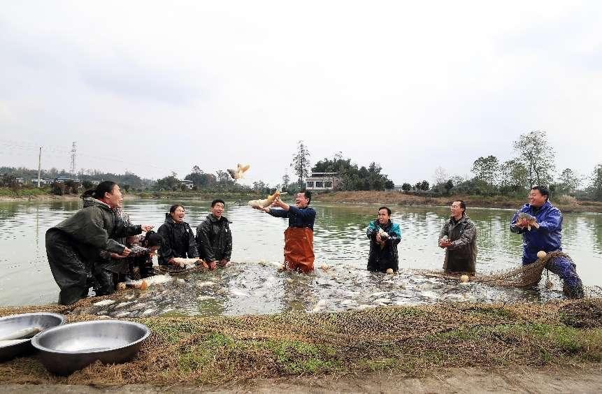 川西村村民的鱼塘迎来了大丰收。梁平区委宣传部供图 华龙网发