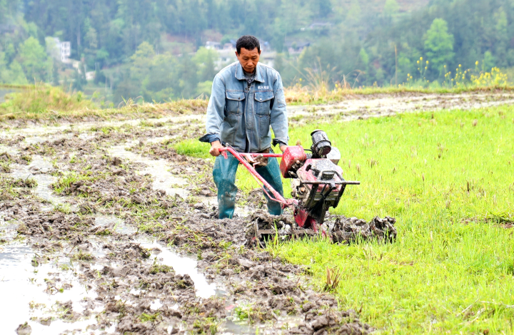 Villagers plowing the fields. (Photographed by Duan Chengjun from Youyang Media Convergence Center)