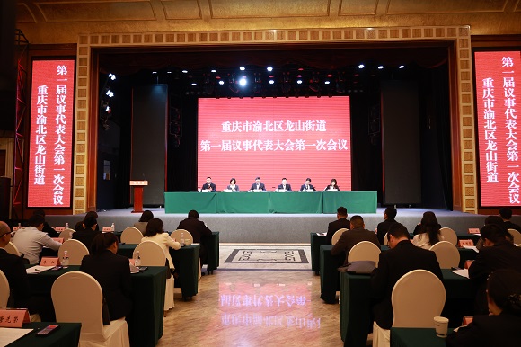 龙山街道召开第一届议事代表大会第一次会议。华龙网 李林飞摄