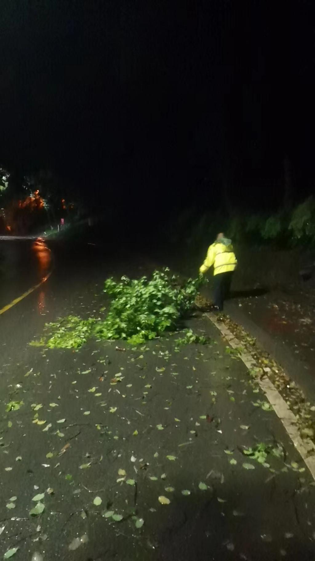 16日凌晨3时许，民警清理路面树枝，排除风险隐患。警方供图