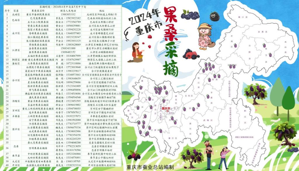 采摘桑葚地图。重庆市商务委供图