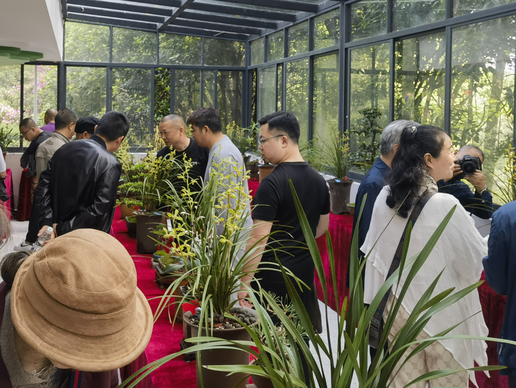 The orchid exhibition (Photo provided by Nanshan Botanical Garden)