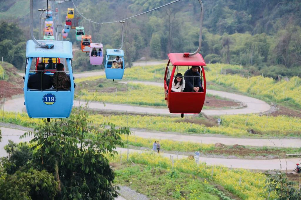 The cable cars in the Fuling Mexin Wine Town (Photo provided by the interviewee)