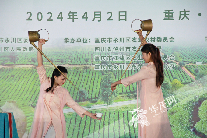 永川将坚持“三茶统筹”，全面构建茶产业、茶科技、茶文化三茶融合现代茶产业体系。华龙网 张颖绿荞 摄