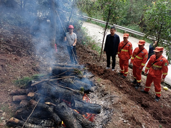 采取焚烧方式清理感染松材线虫病的疫木。重庆市长寿区林业局供图 华龙网发