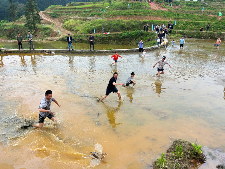 捉鸭。记者 夏雨 供图