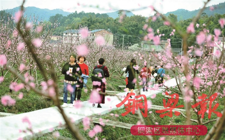 围龙镇“巴岳农庄”赏花季期间，游客打卡赏花。资料图
