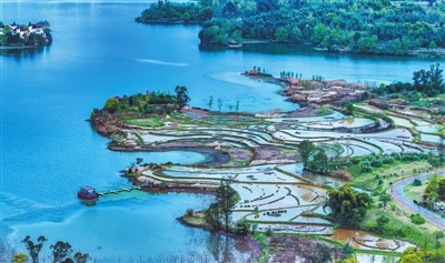 双桂湖国家湿地公园，农田、菜地与湖水相连相依，一幅诗意的生态画卷，引人入胜。记者 熊伟 摄