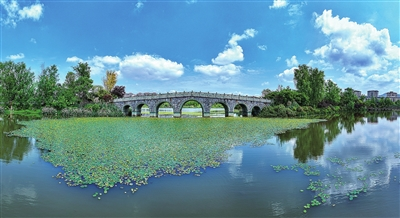 In Shuanggui Lake National Wetland Park, Shuanggui Lake was decorated with lovely fringed water lilies, which looked like sparkling stars under the sun. (Photographed by Xiong Wei)