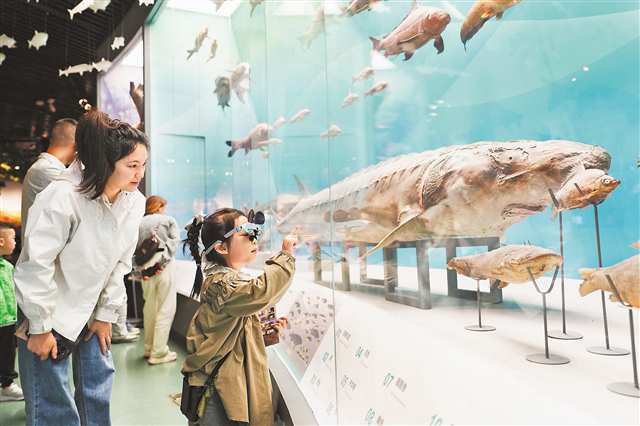 4月5日，北碚区重庆自然博物馆，市民、游客在此参观。特约摄影 秦廷富 视觉重庆