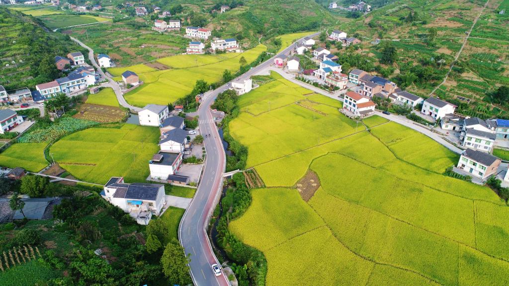 万盛经开区 青燕路