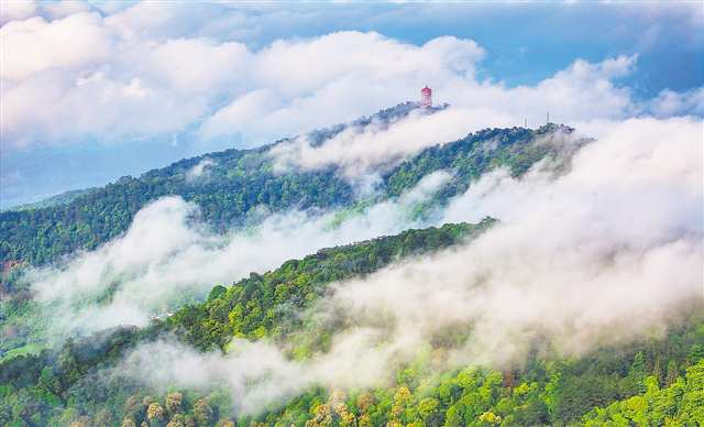 On May 10, in Beibei District, the renovated Jinyun Mountain is green and picturesque.