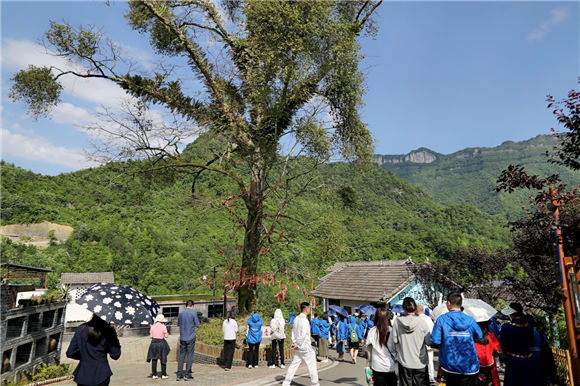 鄉(xiāng)村文化保護。彭水縣委宣傳部供圖