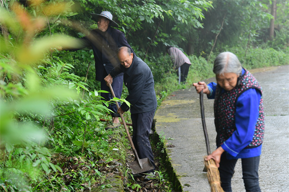 四面村村民清理道路两旁杂草垃圾。华龙网发 苏盛宇 摄 