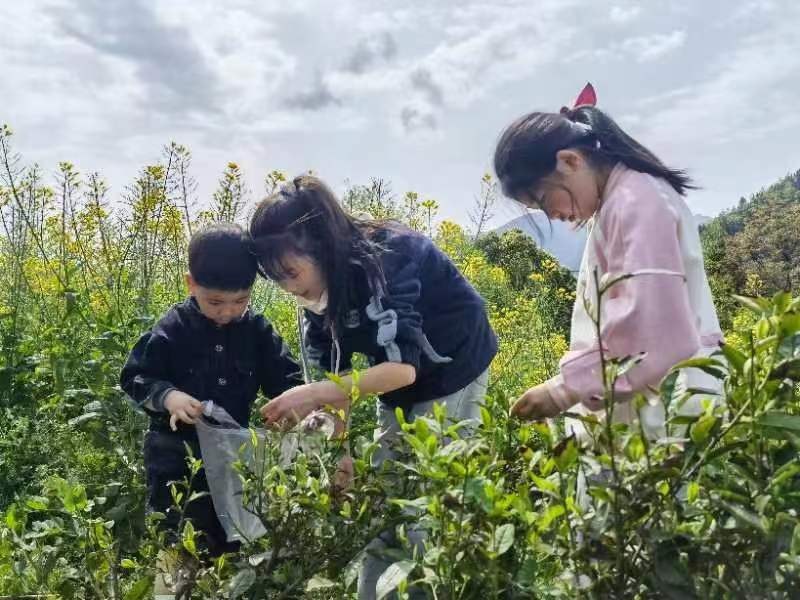 开展研学体验。庙坝镇供图 华龙网发