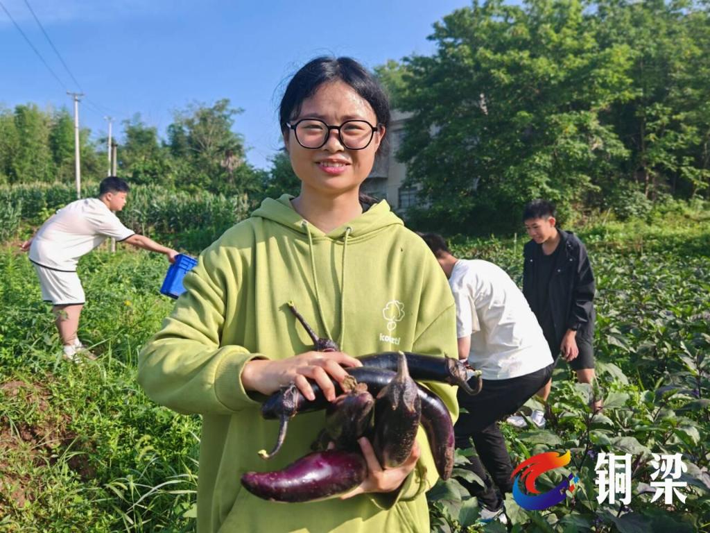 “小菜农”收获满满。