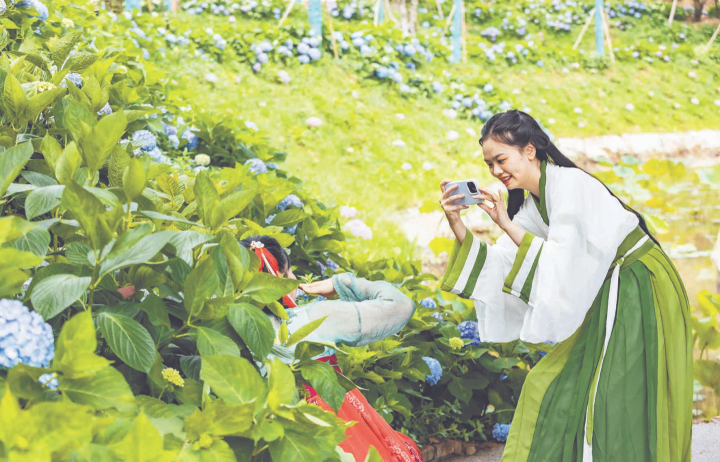 游客在绣球花海中拍照。资料图