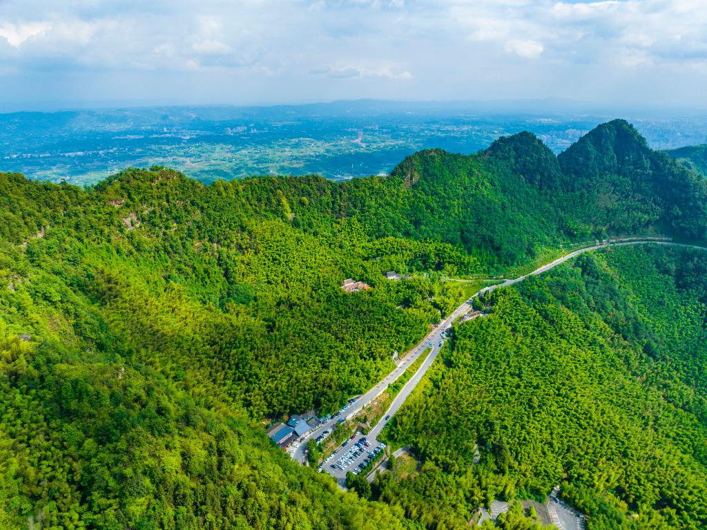 重庆永川茶山竹海门票图片