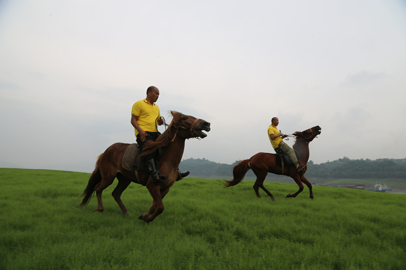  Tourists were riding horses on the grassland. (Photo provided by the scenic area)