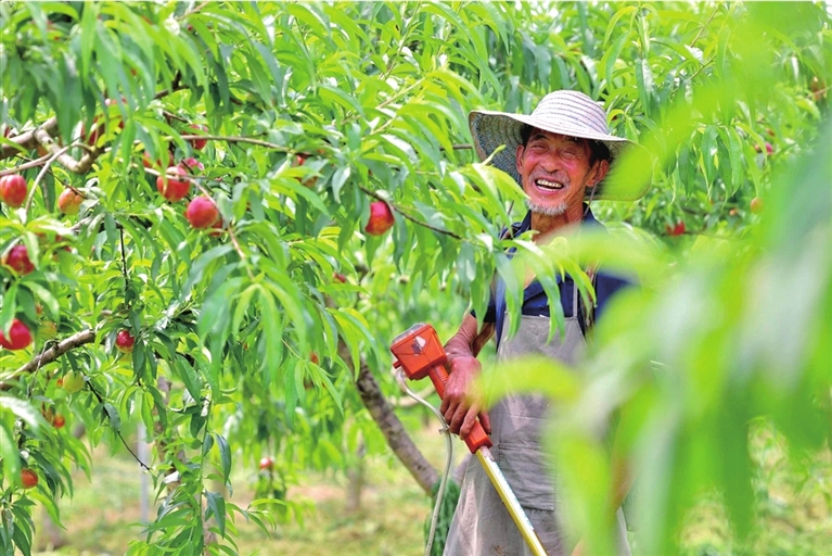 The joy of harvest (Photographed by Zhu Yunqing) 