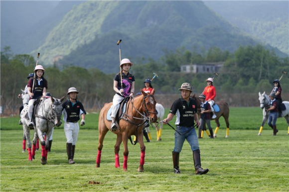 阿根廷马球马仙女山帅气亮相。武隆旅游产业（集团）公司供图 华龙网发