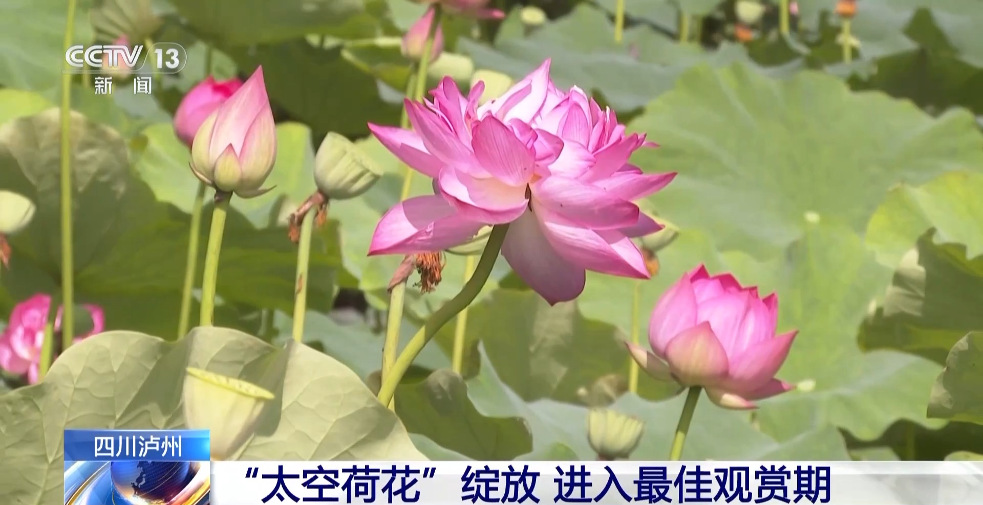 83efbbbc123c4c13bc684f45b6073208