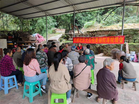 集中推选院长（微网格长）。圣泉街道供图 华龙网发