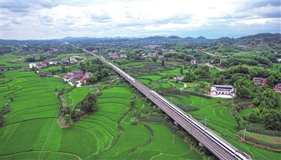 双桂街道黄泥村，高铁列车穿行在景美如画的稻田间，构成一幅美丽的新时代乡村画卷。记者向成国 摄