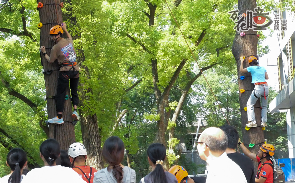 近日，一场“户外生存——树攀体验活动”在西南大学上演。这是西南大学地理科学学院杨平恒教授开设的《野外生存》选修课的一次生动展示。现场除30余名选修课学生外，还有校外30余名树攀爱好者。