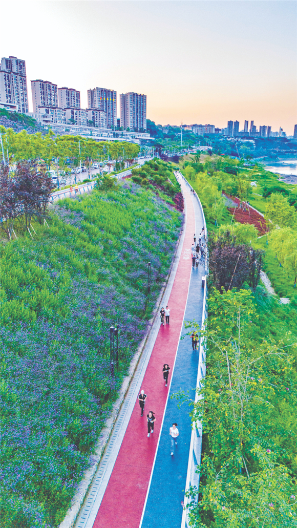 The greenways along Dabin Road are lush with vegetation. (Photographed by Liu Yingcheng from Dadukou News)