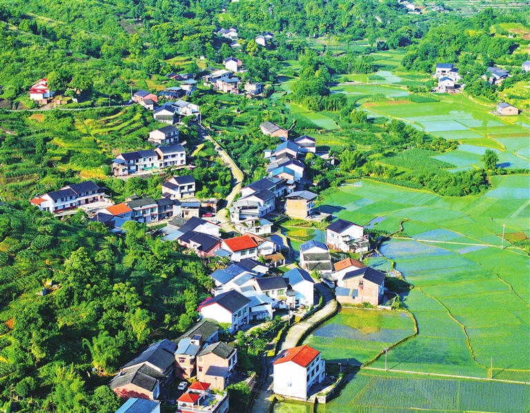 湛家村，綠意盎然。萬盛日報特約記者 曹永龍  攝