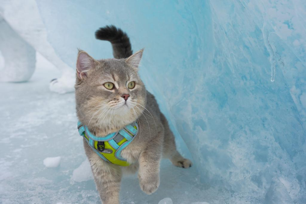 Lulu experiencing Laigu Glacier (Photo provided by the interviewee)