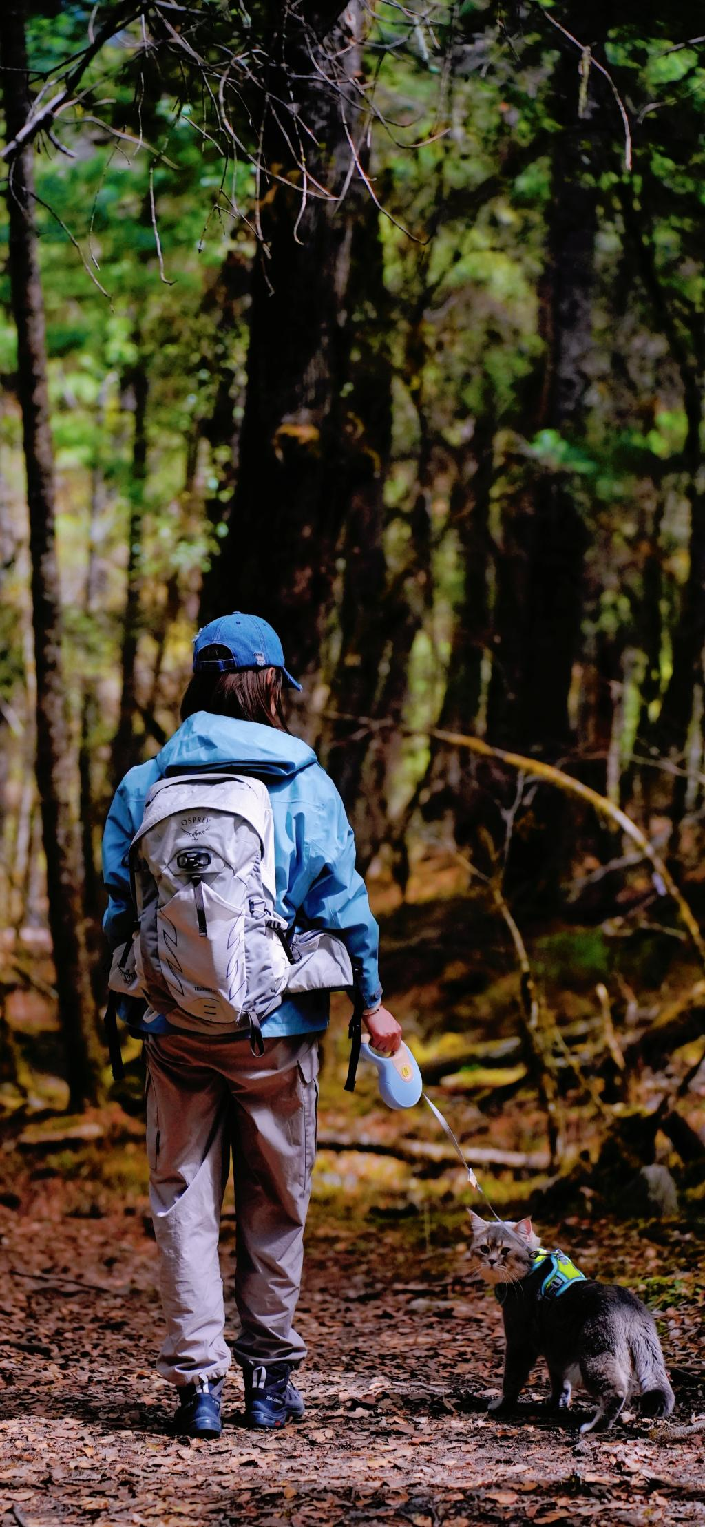 Hiking in the primeval forest of Nyingchi (Photo provided by the interviewee)