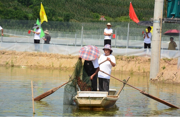捕虾现场。石桥铺镇供图 华龙网发