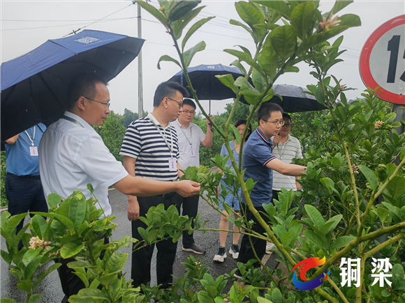 中青班深入基层开展实岗锻炼。通讯员 钟春雨 摄