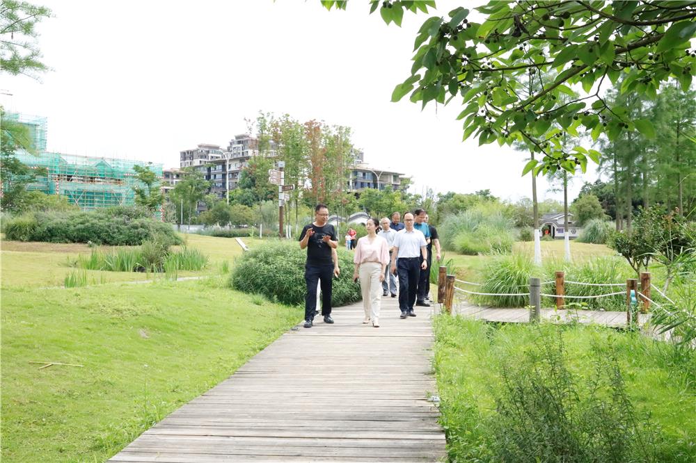 肖珊一行在双桂湖国家湿地公园了解梁平文化旅游发展情况。